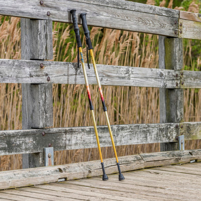 Drive Summit Walking Poles
