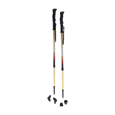 Drive Summit Walking Poles