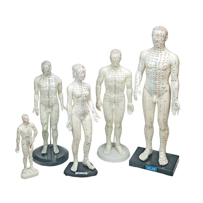 Human Models by Lhasa Oms Inc