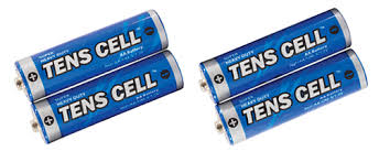 AA Alkaline Batteries - 2 Pack