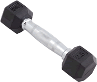 Body Sport Rubber Encased Hex Dumbbell 2.5Lbs