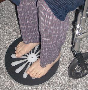 SafetySure Pivot Disc´, 400 lb. Weight Capacity by Mobility Transfer Systems- Singles