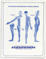 Dermatome Poster by C & C Medical